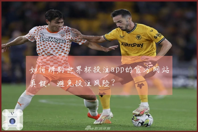 如何辨别世界杯投注app的官方网站真假，避免投注风险？